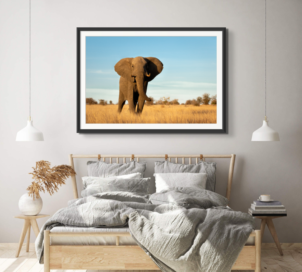 Elephant Bull
