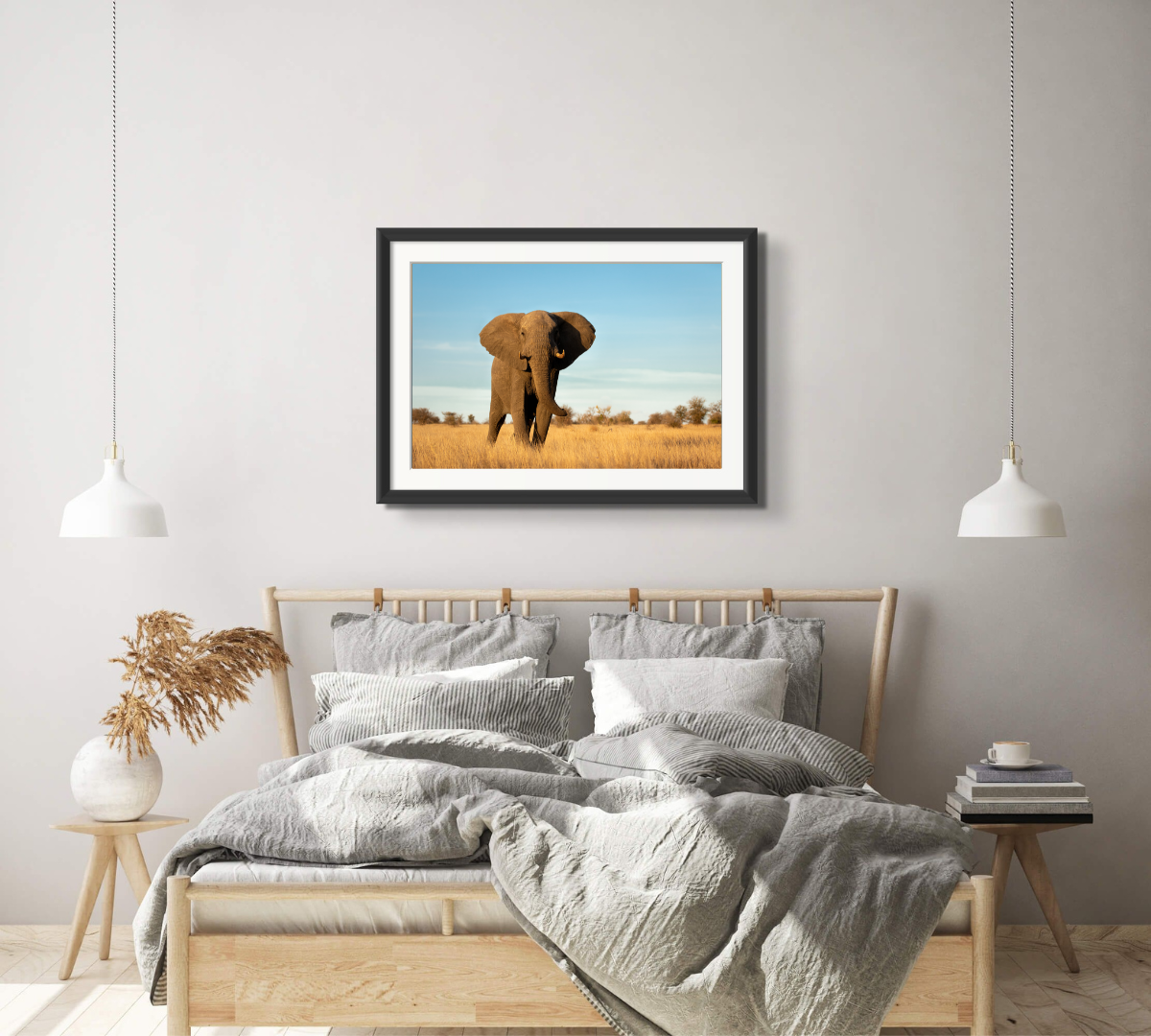 Elephant Bull