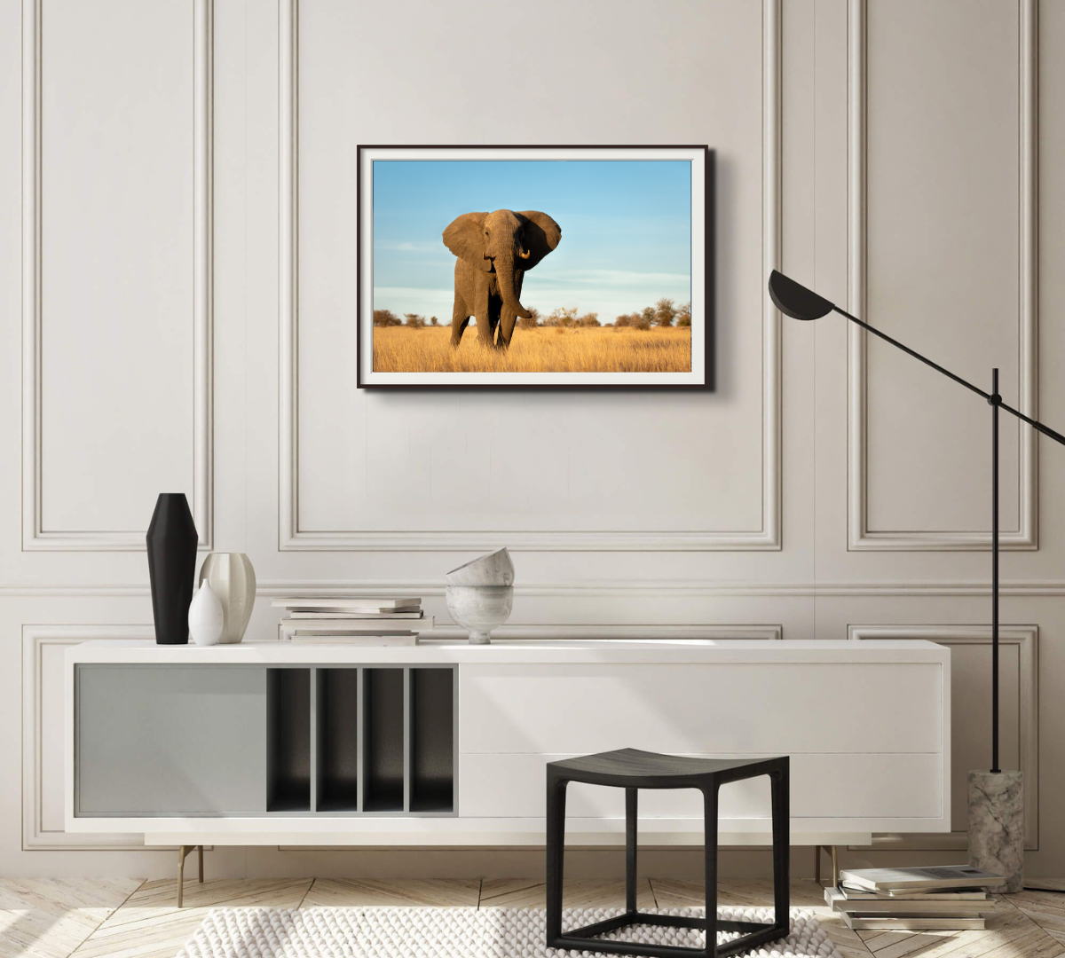 Elephant Bull