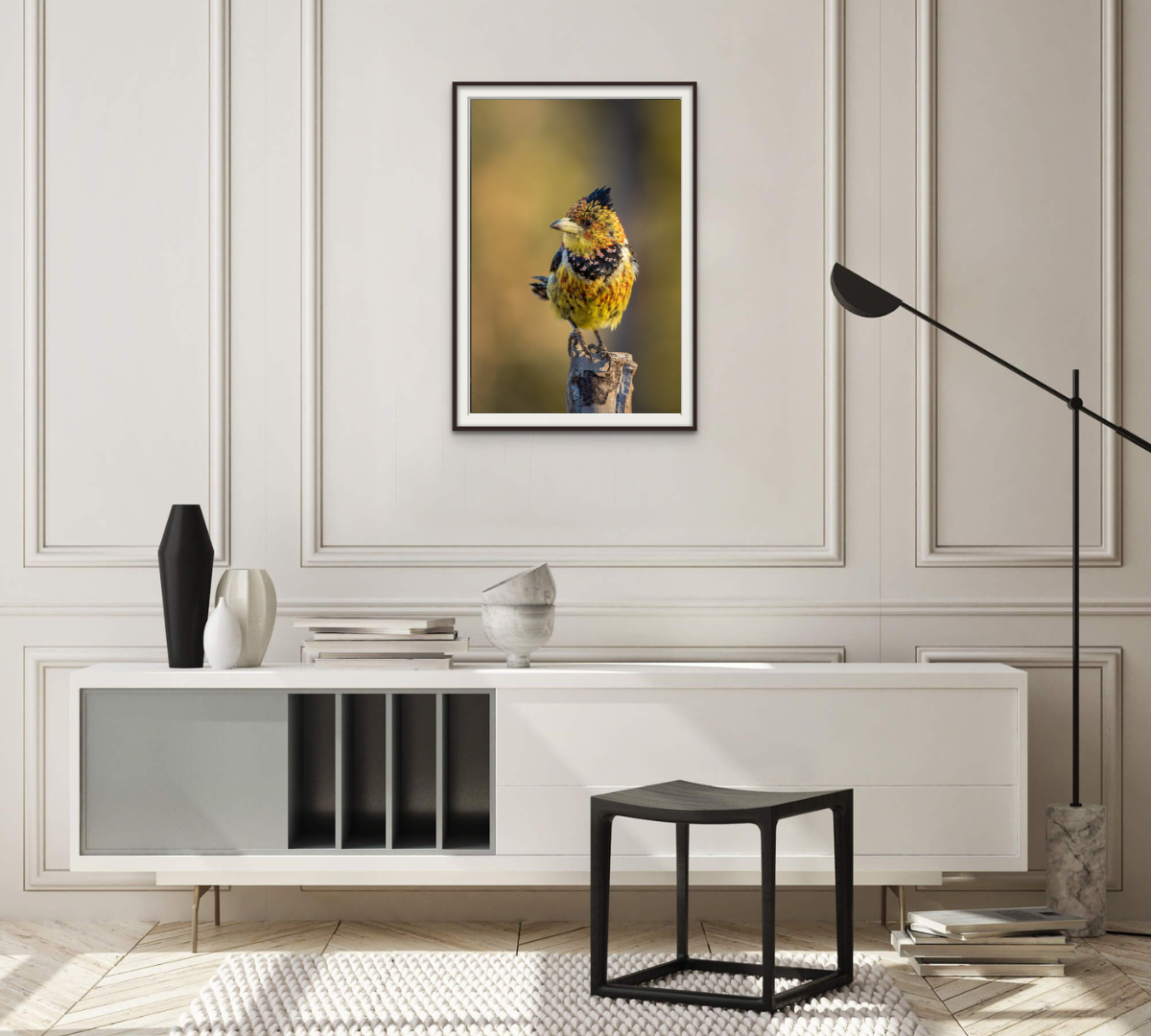 Crested Barbet